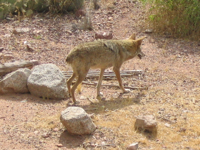 618x457 pixels (253K)